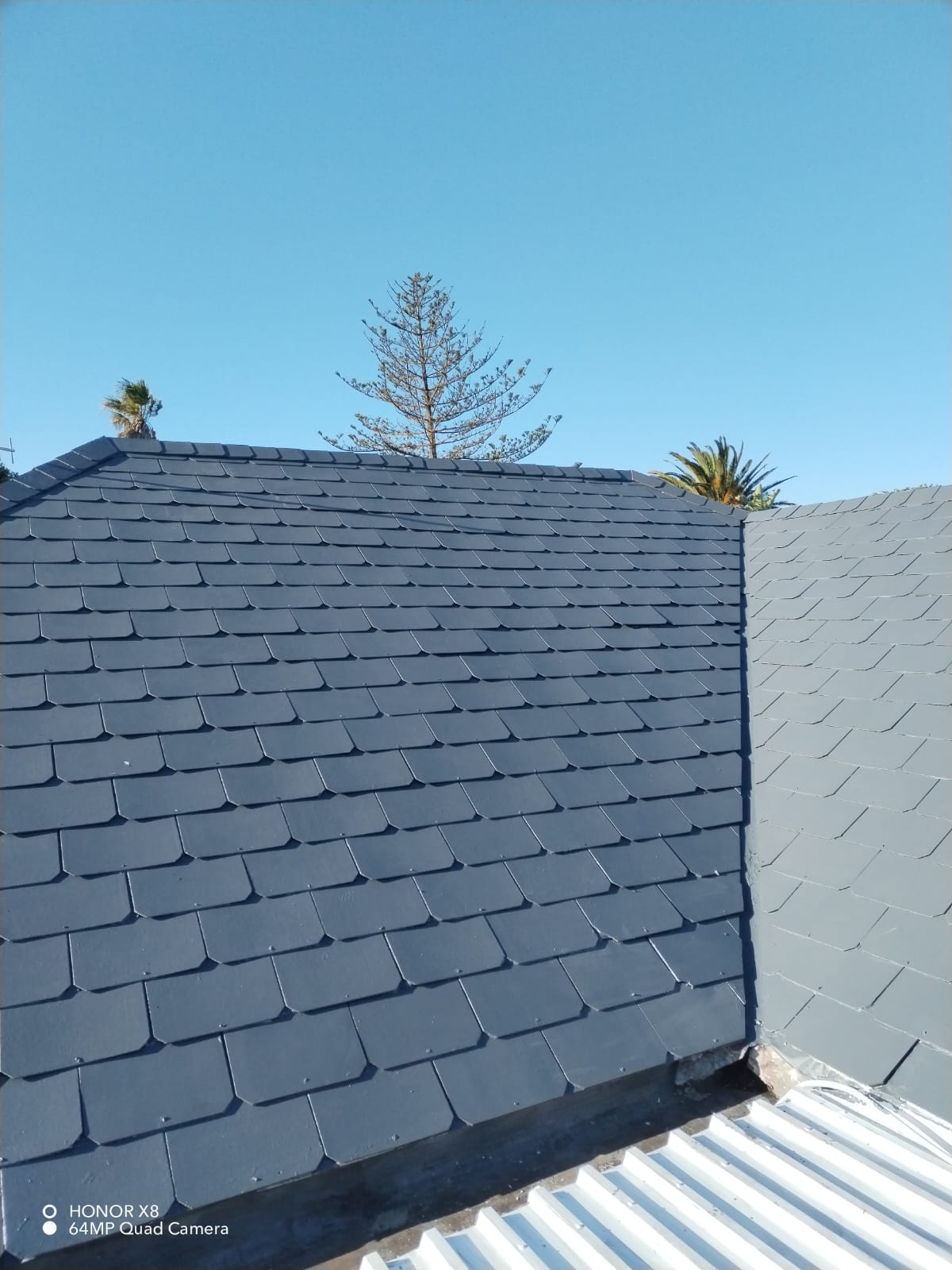 8c8bcc45-058b-4c02-8b4c-88f71ad52474