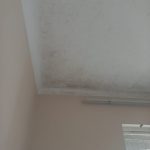 ea79b4df-f876-41cf-a4c6-ae488daee955